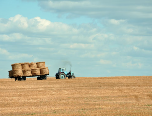 From Field to Grid: Understanding Net Metering for Your Home or Farm